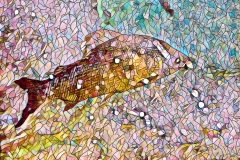 fishmosaic2lowres-scaled